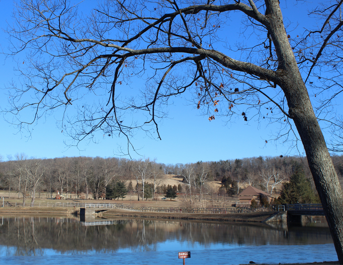 Winter Watershed Wonders